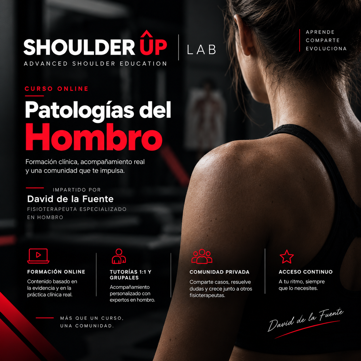 shoulder up